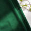 Alsey 100% Velvet Blackout Eyelet Ready Made Curtains & Drapes with matching Tie Backs-1608392674-1608392680