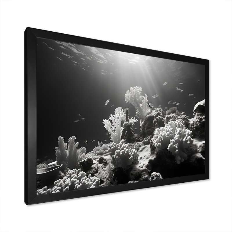 «Black and White Coastal Corals I - Beach & Ocean», reproduction d'art sur toile, Cadre simple noir