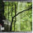 Shower Curtain with Hooks Included-44323233