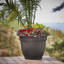 Pot à fleurs intérieur / extérieur Traditional-927975566-927975557