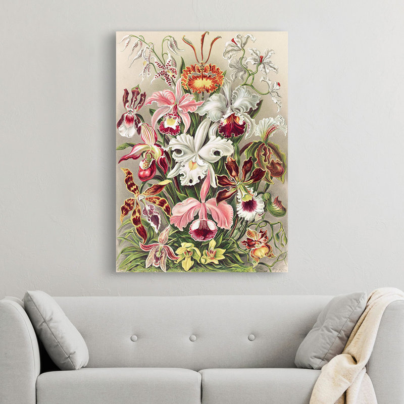 Orchidaeacae by Ernst Haeckel - Wrapped Canvas Art Prints, 80cm H x 60cm W x 4cm D