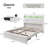 LED Bed Frame with 2 Drawers Pockets and Upholstered Wingback Headboard-74042663-99234377