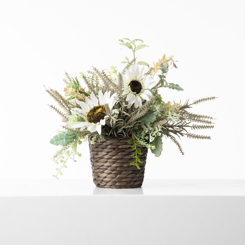 Arrangement floral tournesol en pot