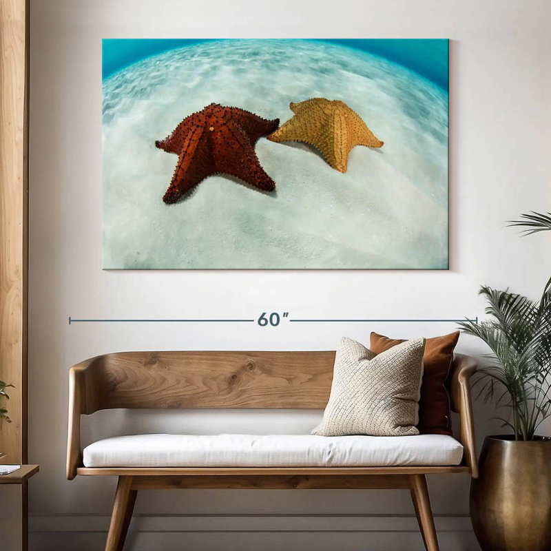 Brampt Caribbean Starfish, 34" H x 51" W