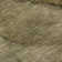 Premium Machine Washable Cerrito AMF607 Brown Rug