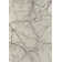 Aziyah Floral Area Rug