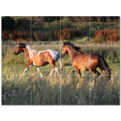 Photo de cheval 6 x 6