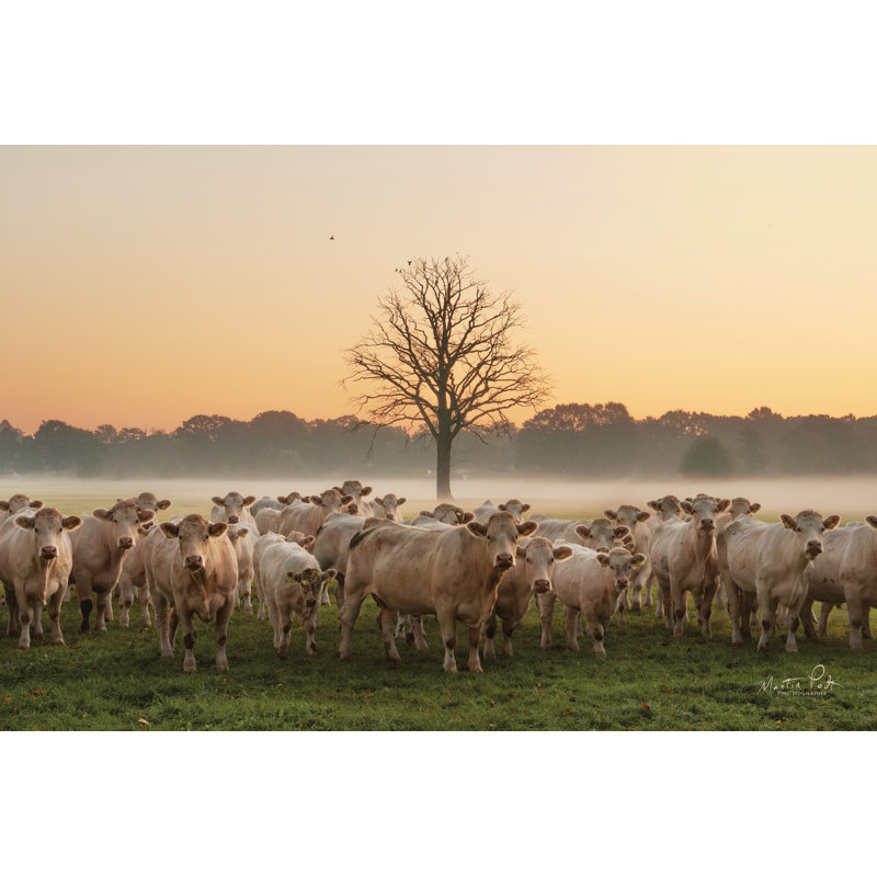 «Just Come Cows and a Dead Tree» par Martin Podt - reproduction, H 12 po x l 18 po