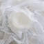 Nappe Hayson Floral Lace-913604072-913604073