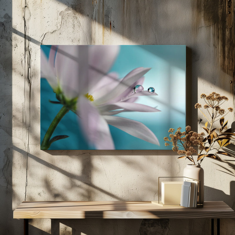 Wrapped Canvas Print, 50.8 cm H x 76.2 cm W