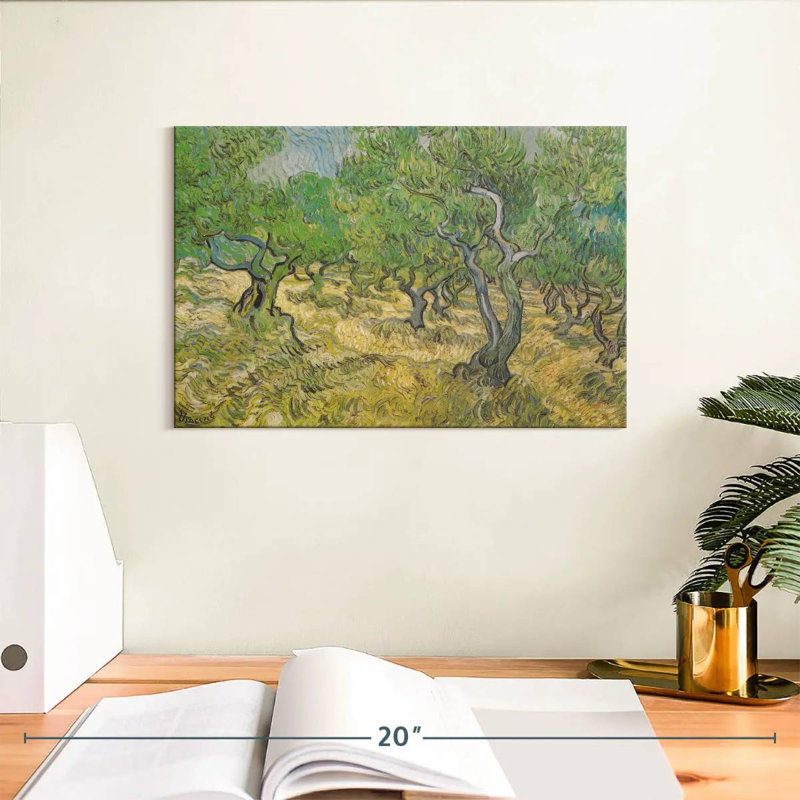 Harnek Olive Grove, H 8 po x l 12 po