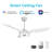 Braylynn 52'' Ceiling Fan with LED Lights-214131024