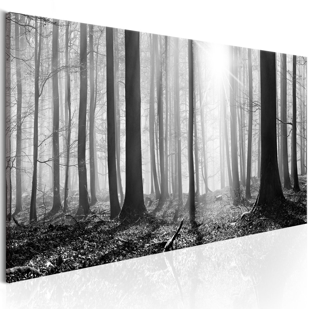 Leinwandbild - Black and White Forest