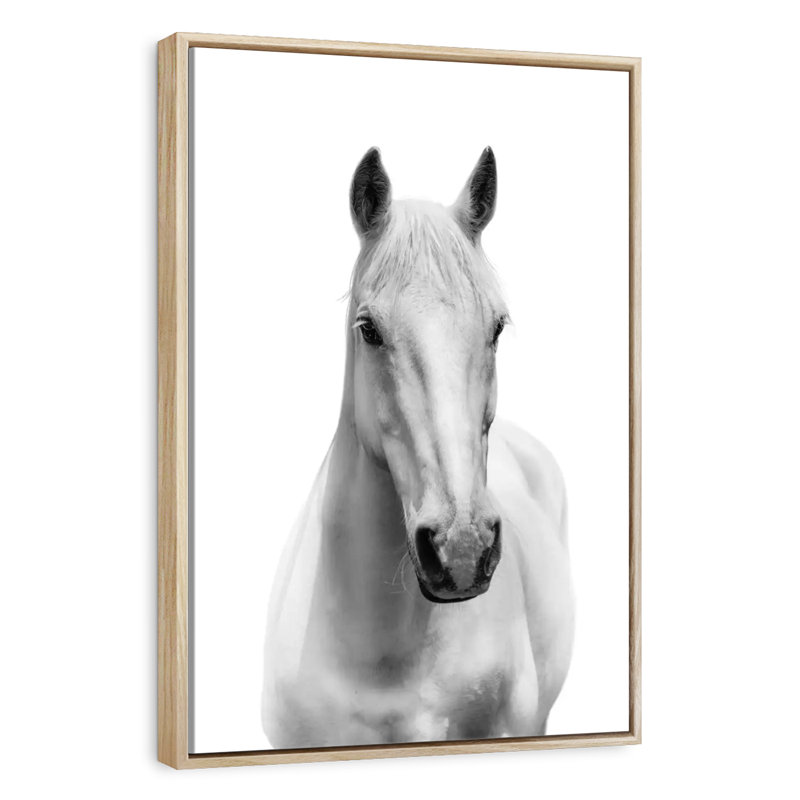 Mince cheval blanc, Floating Frame Natural Wood, 27" x 40"