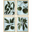 Conadria, Atreano, Kadota, and Brunswick Print by Susan Hable Soicher Marin
