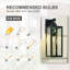 Schlesinger Matte Black Outdoor Wall Lantern-501180800