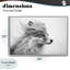 Giclée encadrée de renard Easy Breezy, design par Tina LeCour-2343148-2343149