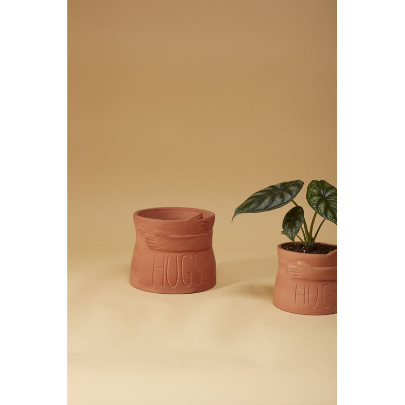 Jardinières en pot, H 5,5 po x l 6,75 po x P 6,75 po