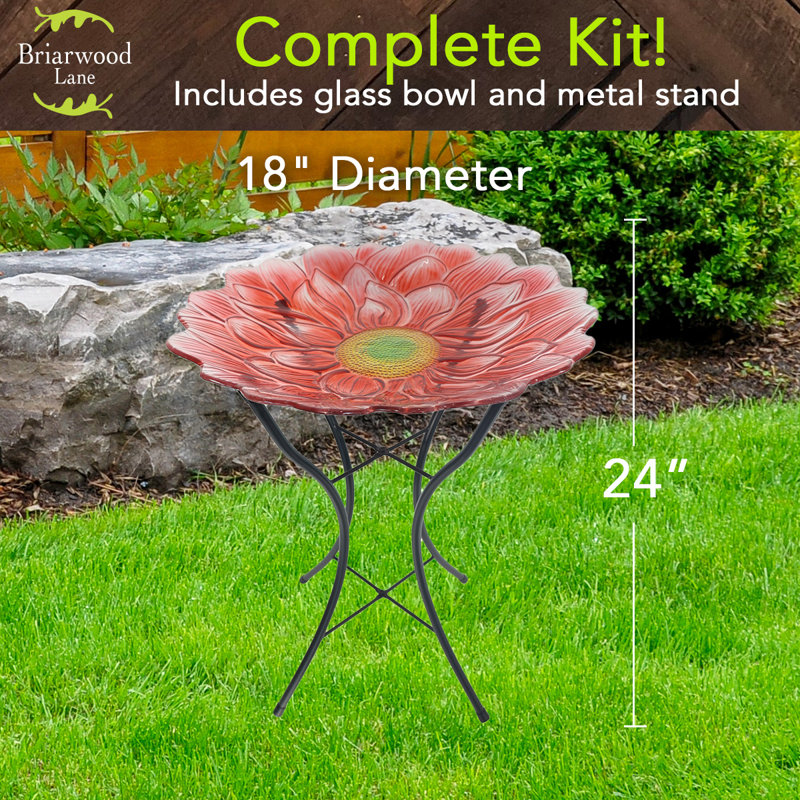 Bain d'oiseaux en verre Red Daisy