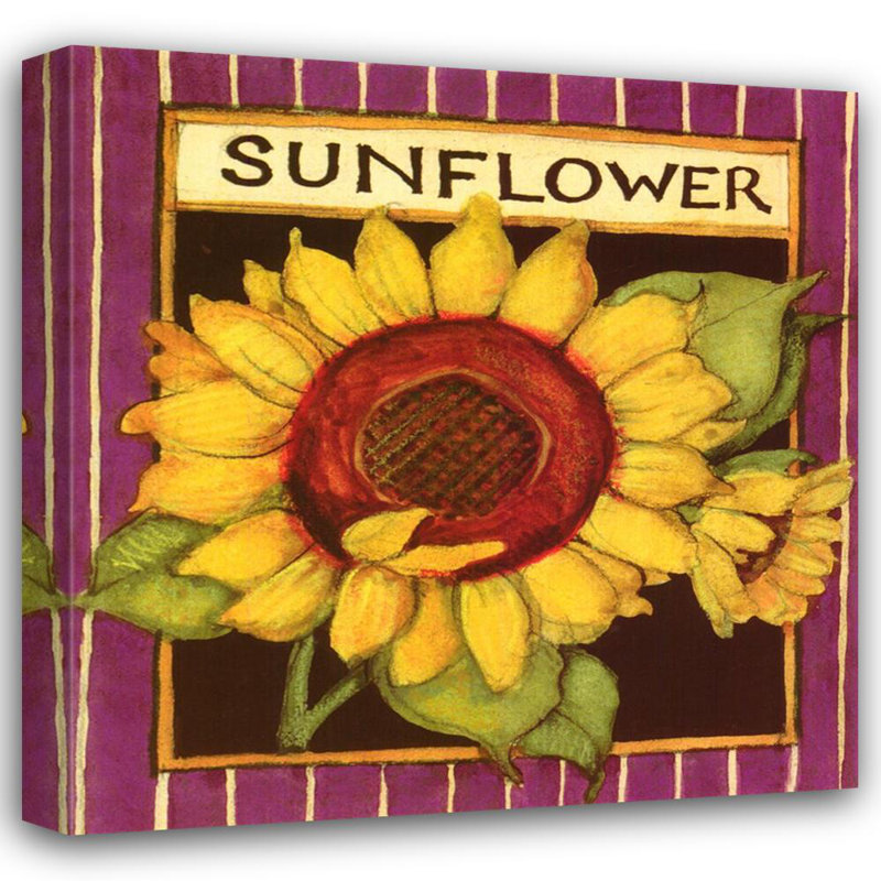 Paquet de graines de tournesol, H 20 po x l 20 po