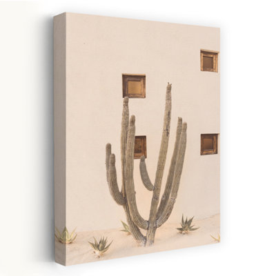 Young - Cabo cactus, paysage, photographie moderne, art minimaliste, art de la nature, minimaliste Moderne