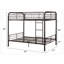 ACME Bristol Audeliz (double / double), brun foncé-22042593