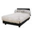 Lit orthopédique pour animaux Mid-Century-1953814894-1932509633