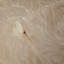 Papier peint ondulé moderne Modern