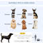 Collapsible Pet Carrier with 3 Doors-74777165