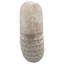 Sculpture en céramique Coastal Shell pour décoration intérieure - Statues objets décoratifs comme décorations pour le salon - Blanc-1544932770