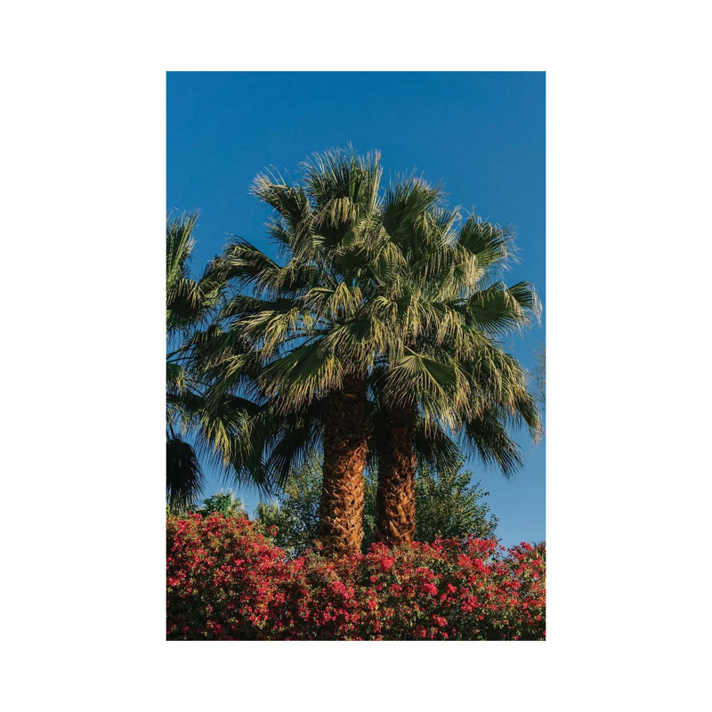 Palm Springs Palms II by Bethany Young - Print on Canvas, Wrapped Canvas, 101.6cm H x 66.04cm W x 3.81cm D