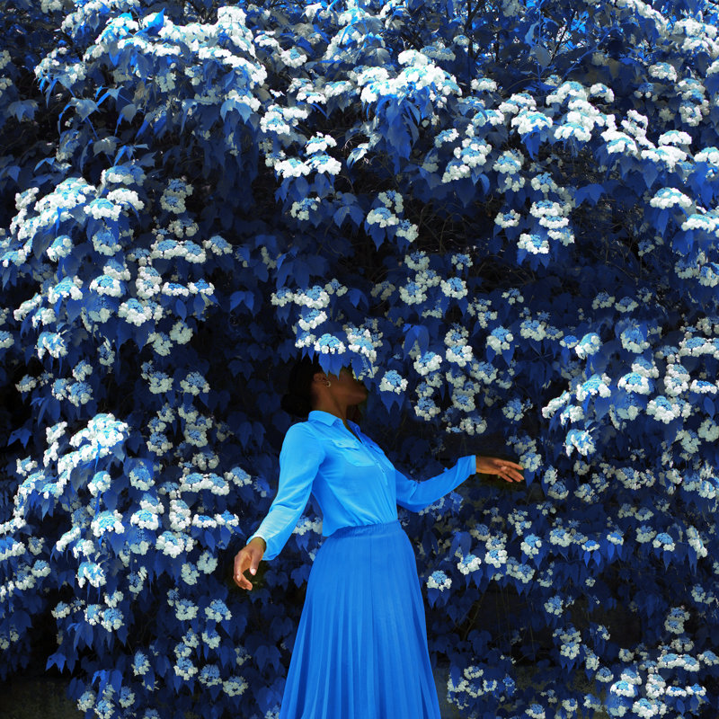 Dancing Among The Clouds Print by Fares Micue, 31" H x 31" W