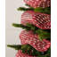 Red Mesh With Red Foil