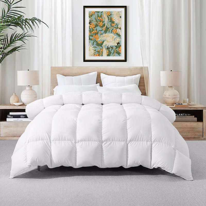 All Season Polyester Down Alternative Comforter/Duvet, Queen, White