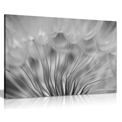 Abstract Black & White Dandelion Soft Floral - Wrapped Canvas Print