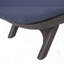 CHAISE Longe avec coussin-307916925