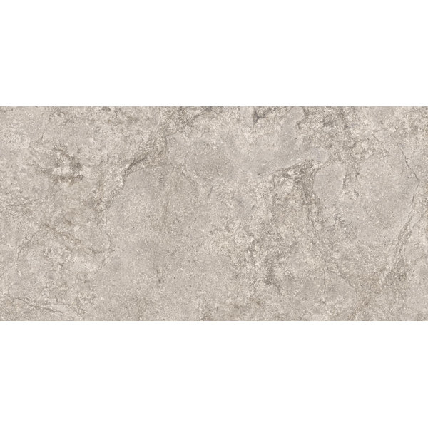 French Limestone 24" x 48" Porcelain Singular Tile