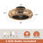 19.6'' Ceiling Fan with Light Kit