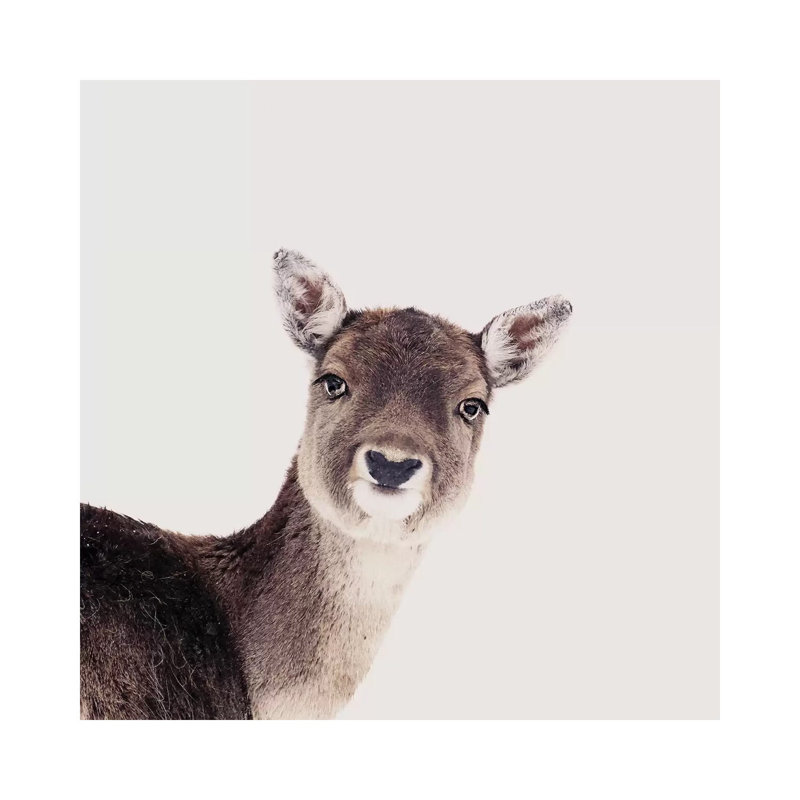 Deer Peekaboo Rose Square by Monika Strigel - Wrapped Canvas Print, 30.48 cm H x 30.48 cm W