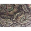 Trinity Wool Oriental Area Rug in Brown/Taupe
