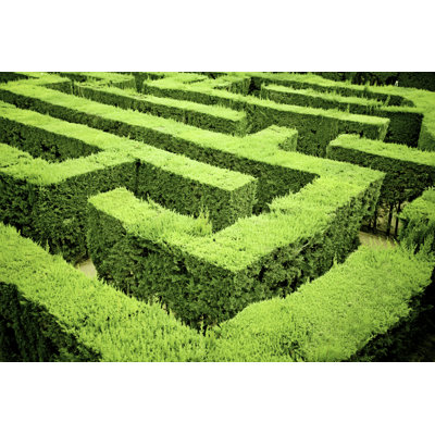 Labyrinth by Orbon Alija