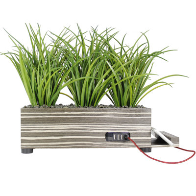 19" Decorative USB Charging Plant Grass Succulent in Planter