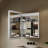 Frantzeska 24''W x 32" H Recessed/Surface Mount Medicine Cabinet with Mirror, Defogger, Dimmer, Outlets & USBs and Interior Mirror