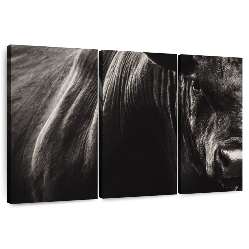 Brampt Black Angus Bull Close Up, 24" H x 38" W