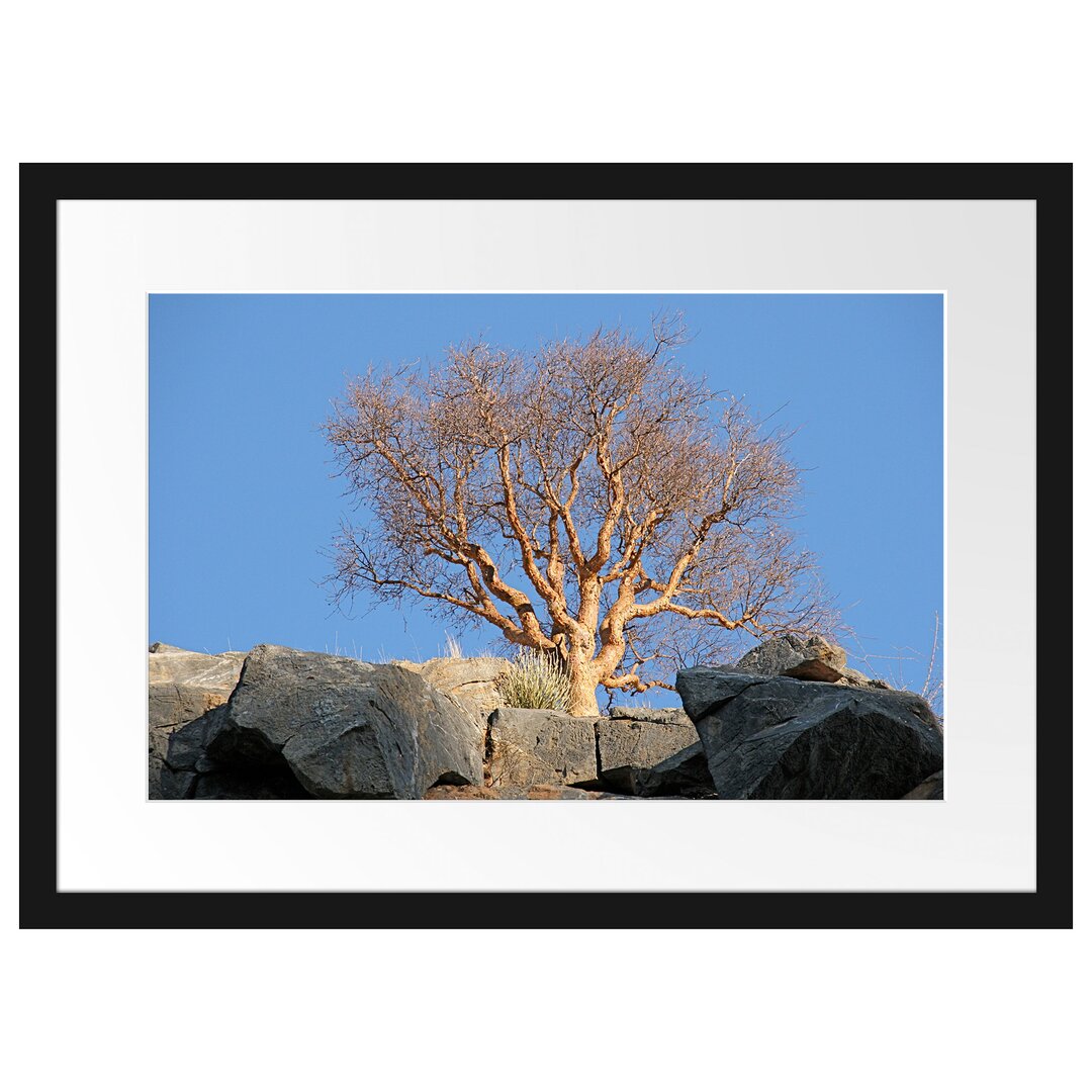 Gerahmtes Poster Einsamer Baum im Gebirge