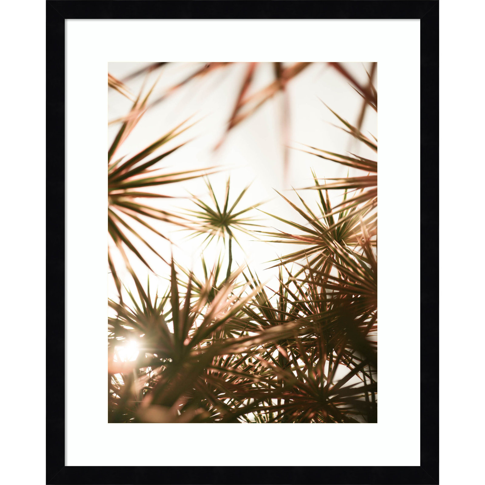 Daisey "Starlight Through Palms" Print, Black, 21" H x 17" W