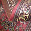Oxana Oriental Area Rug in Red