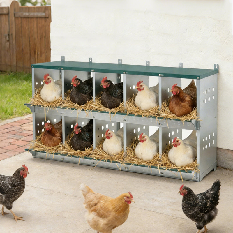 Boîte de nidification en métal à 10 baies pour poules / canards, collection et assemblage facile des œufs, acier galvanisé ventilé
