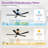 Raguel 52" 5-Blade Downrod Ceiling Fan with LED Light and Remote Control-788904124
