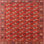 Wool Indoor Rug